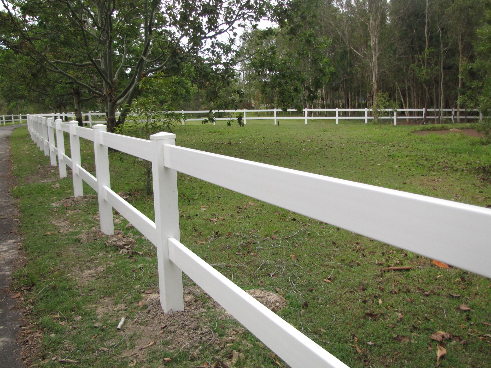 2 Rail Pvc Fencing For Horse Paddock North Brisbane Equine with regard to dimensions 2048 X 1536