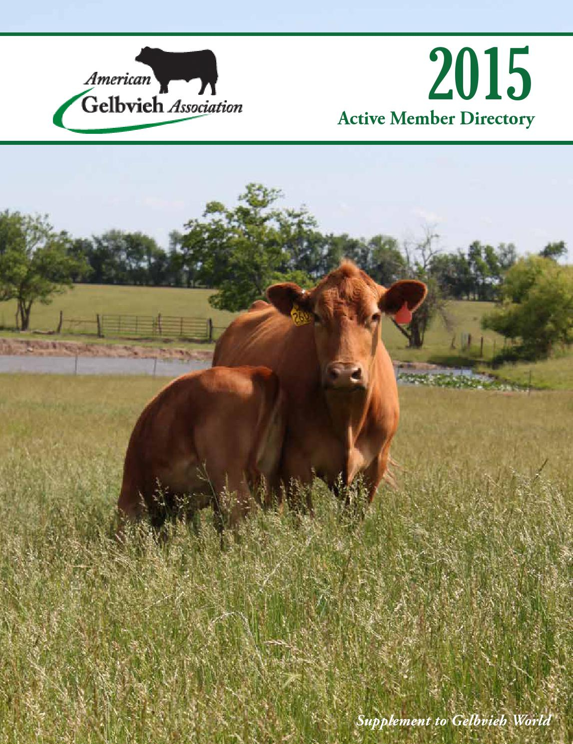 2015 Aga Active Member Directory American Gelbvieh Association with size 1147 X 1490