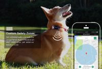 2018 Wi Fi Gpslbs Fencecustom Safety Zonesgps Pet Tracker intended for size 1000 X 1000