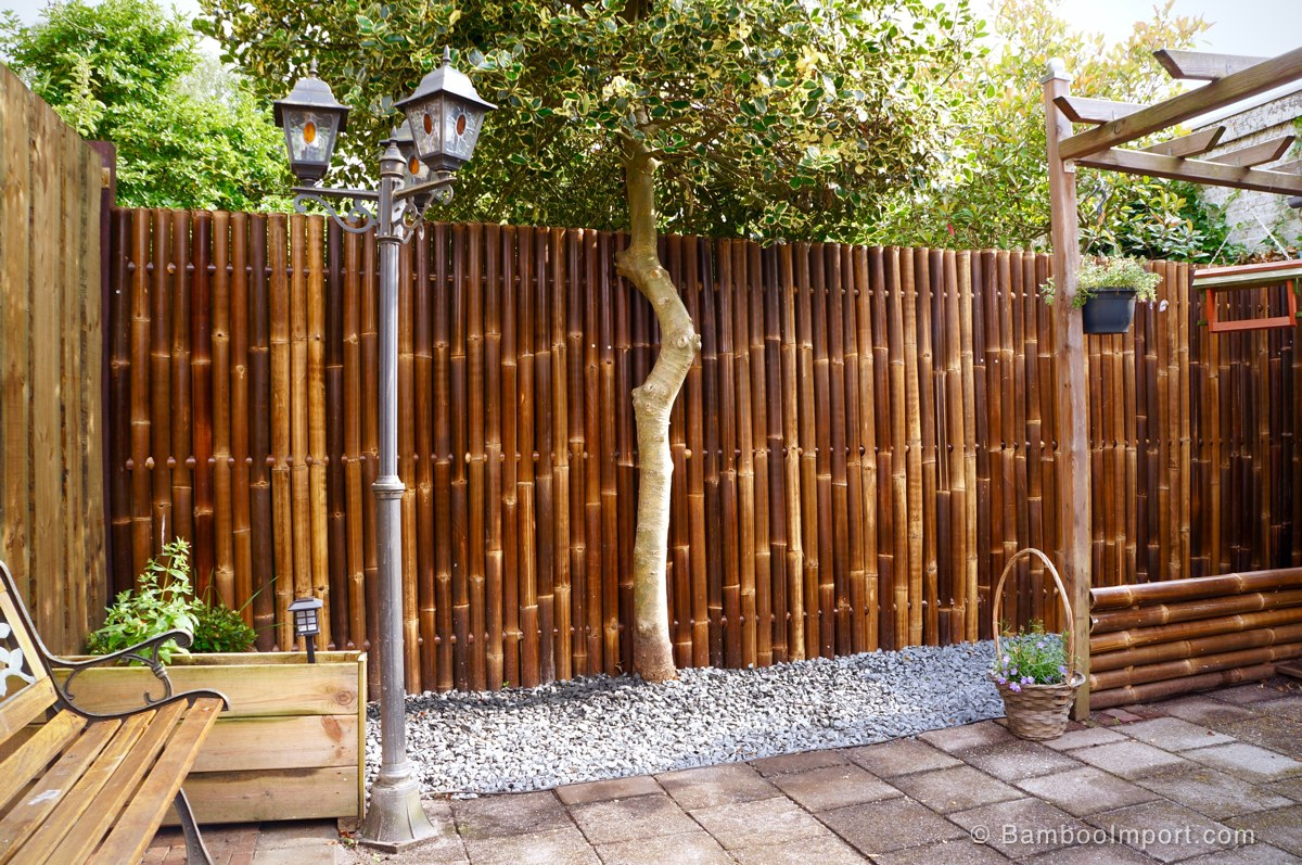 25 Bamboo Fencing Ideas For Garden Terrace Or Balcony throughout proportions 1200 X 797