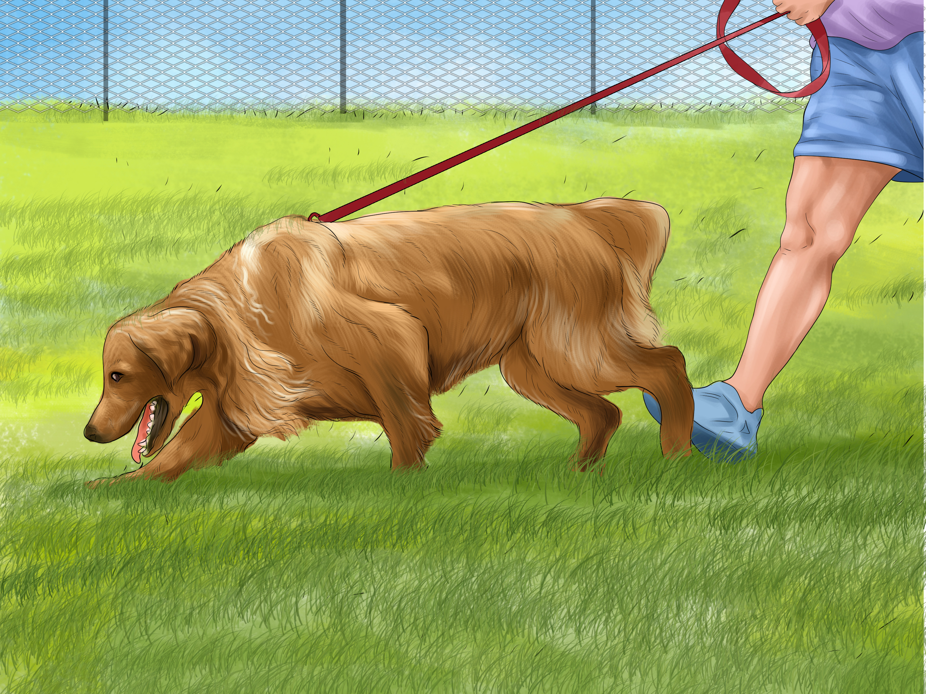 3 Ways To Choose A Dog Fence For Your Yard Wikihow throughout measurements 3200 X 2400