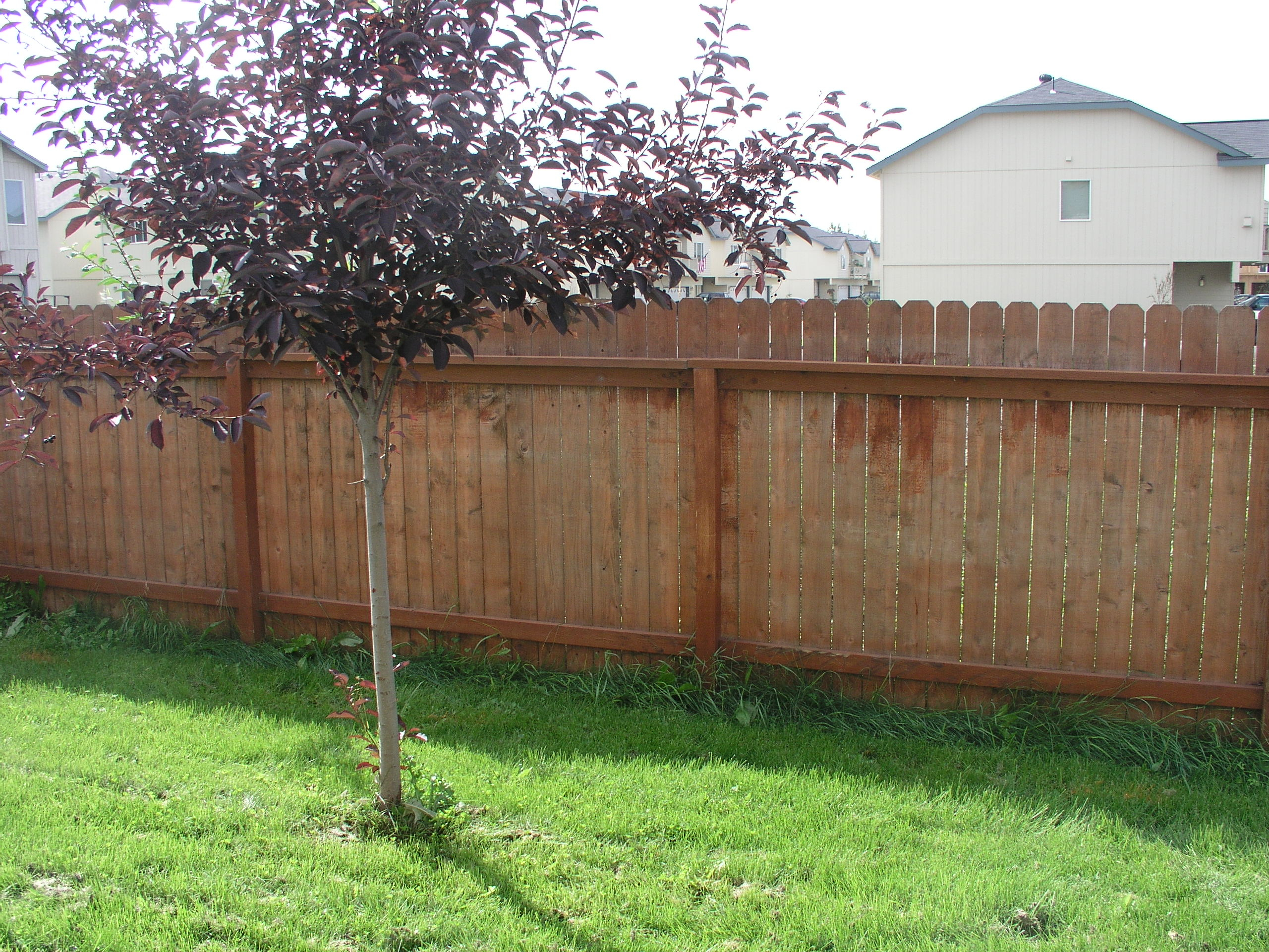 3 Ways To Prepare Your Fences For Winter Tips From Aaa Fence In with measurements 2560 X 1920