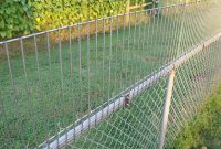 40 Awesome Pics Of Dog Proof Fence Extension Best Fence Gallery pertaining to dimensions 1824 X 1368