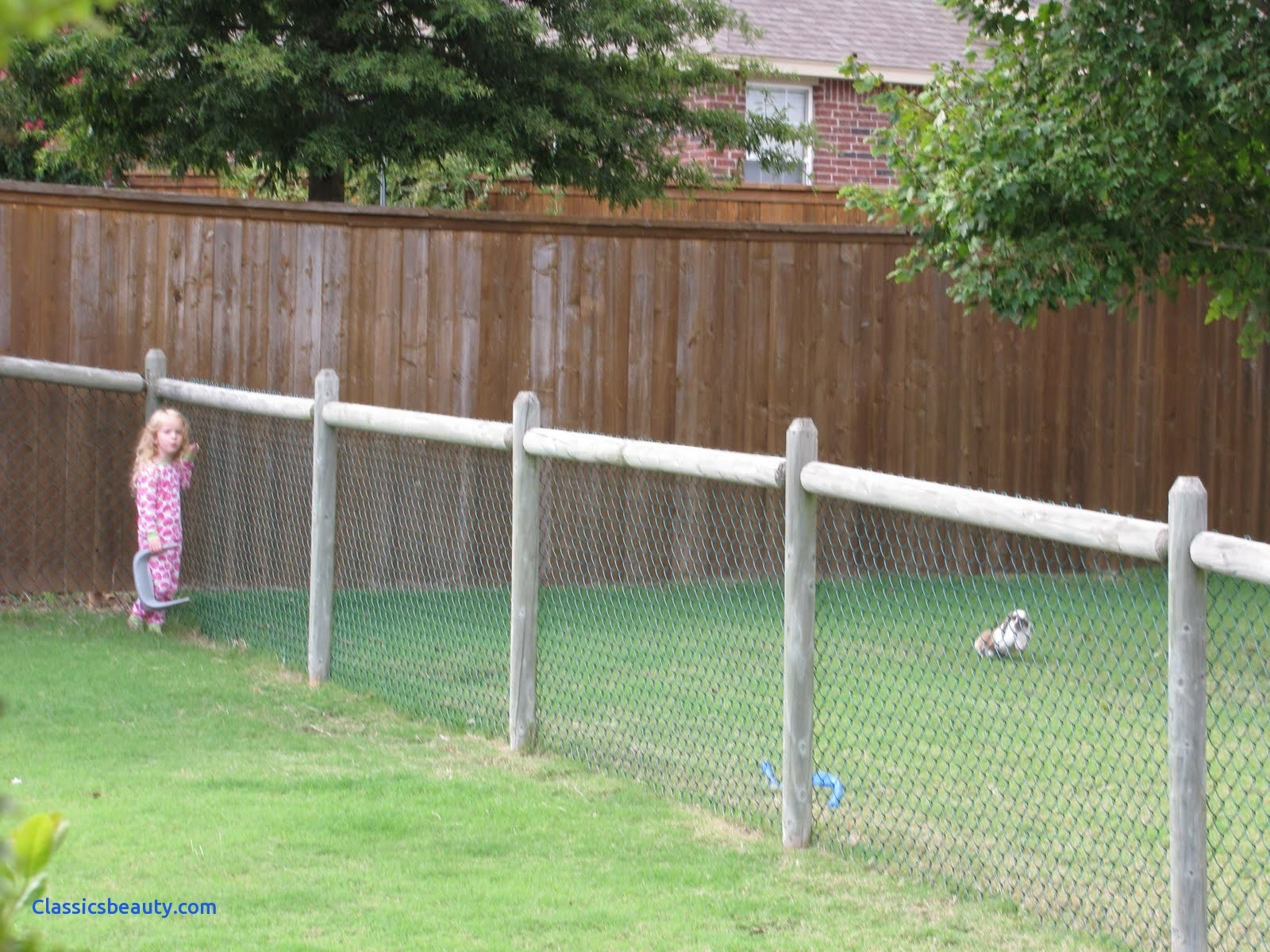 40 Beautiful Photos Of Temporary Dog Fence Best Fence Gallery in sizing 1600 X 1200