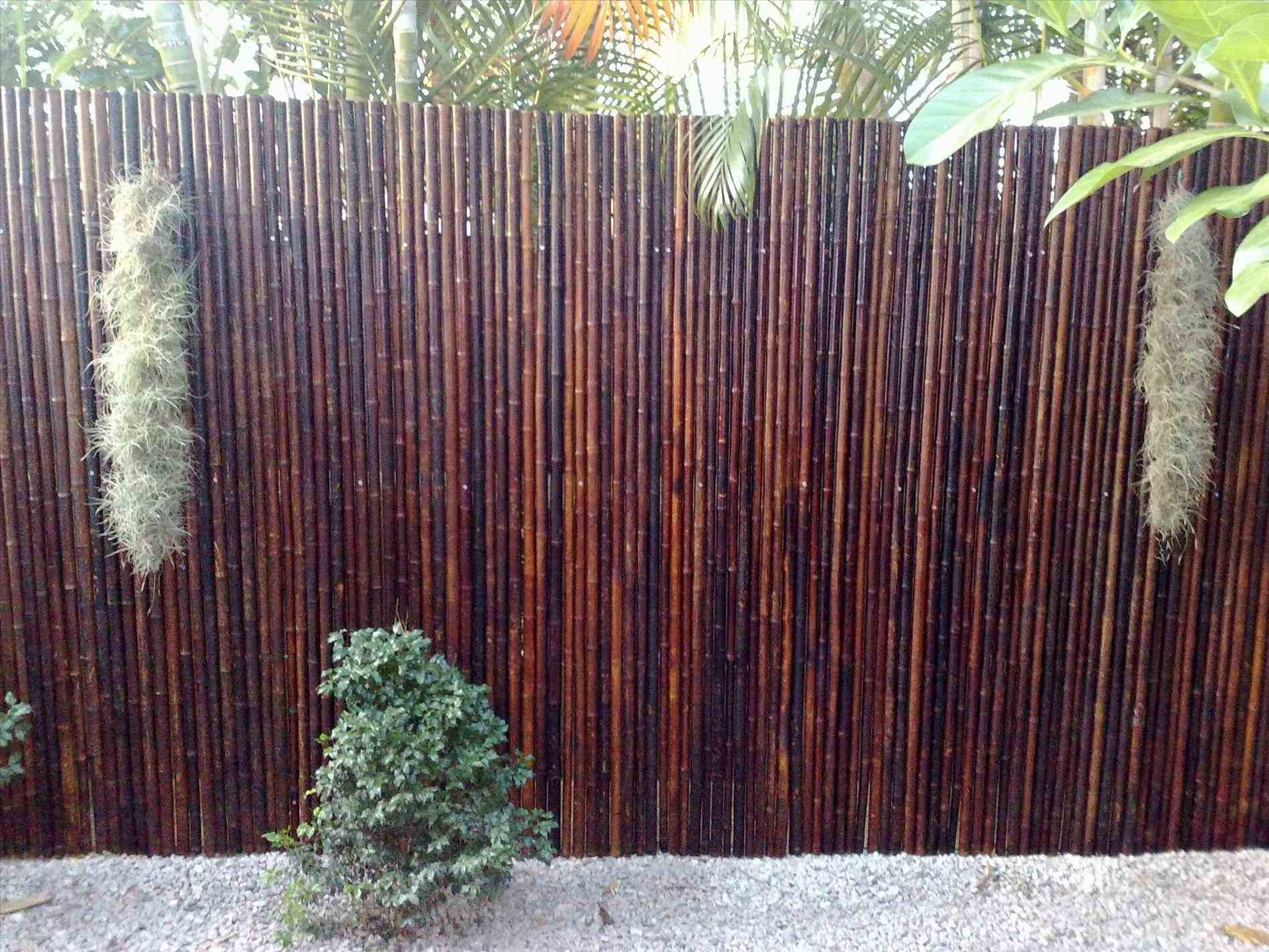 40 Lovely Pics Of Bamboo Screen Roll Best Fence Gallery for measurements 1900 X 1425