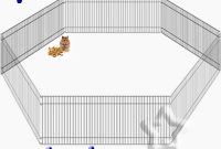 5 Great Guinea Pig Fence Ideas That You Can Share With Your pertaining to dimensions 1000 X 1000