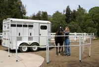 5 Horse Containment Options Horserider within proportions 1200 X 800
