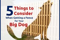 5 Things To Consider When Getting A Fence For Your Big Dog in dimensions 1535 X 1168