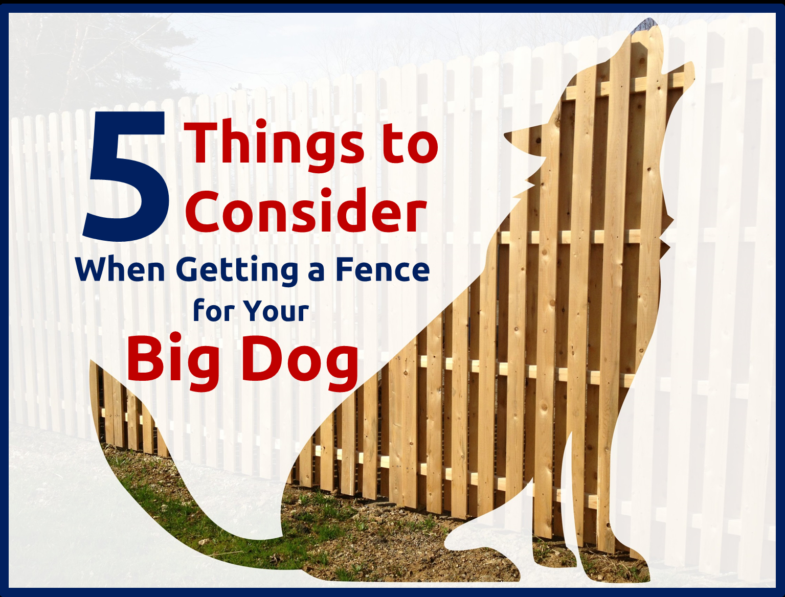 5 Things To Consider When Getting A Fence For Your Big Dog in dimensions 1535 X 1168