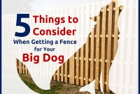 5 Things To Consider When Getting A Fence For Your Big Dog inside size 1535 X 1168