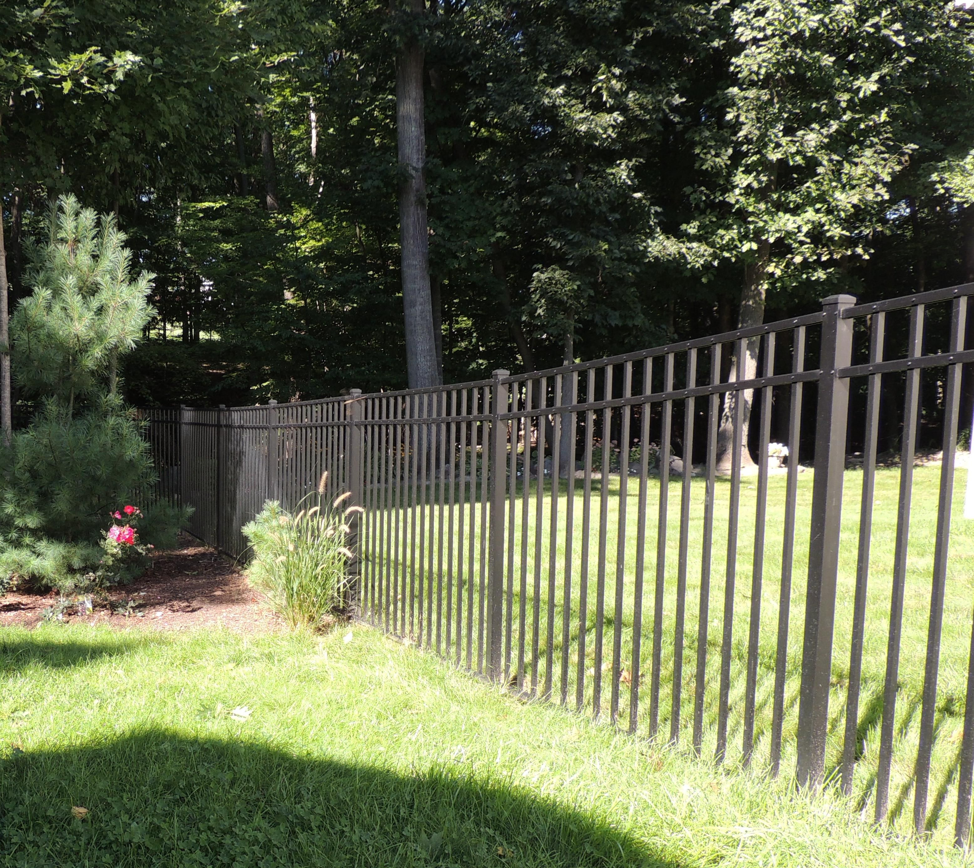 54 High Black Matte Finish Ornamental Three Rail Aluminum Fence 3 within measurements 3111 X 2772