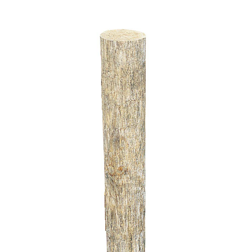 6 In X 6 In X 8 Ft Pressure Treated Pine Round Fence Post within measurements 1000 X 1000