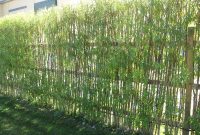 Aesthetic Bamboo Fencing Ideas For Yard Parting And Decor Inspiring throughout dimensions 3648 X 2736