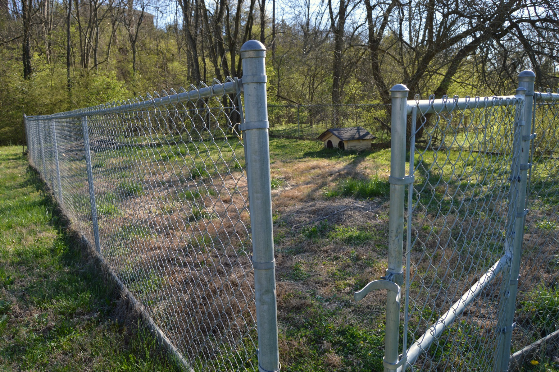 Affordable Easy Chain Link Fence Makeover Option Mom In Music City in sizing 1800 X 1197