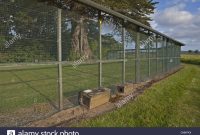 Anti Predator Fence And Traps To Exclude Introduced Predators From regarding measurements 1300 X 956