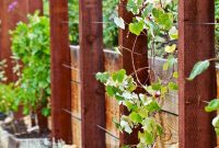 Attractive Wooden And Wire Trellis Might Want To Increase Post in size 850 X 1275