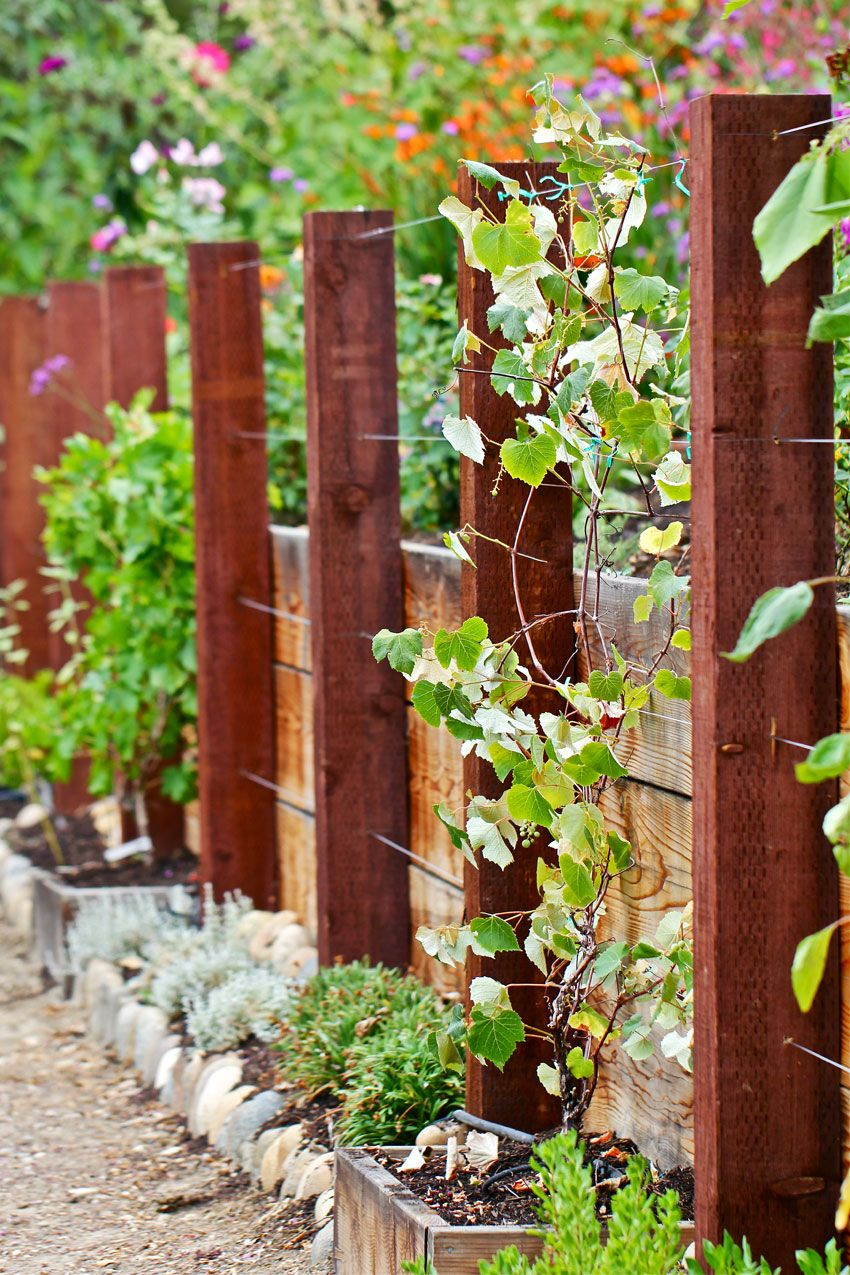 Attractive Wooden And Wire Trellis Might Want To Increase Post in size 850 X 1275