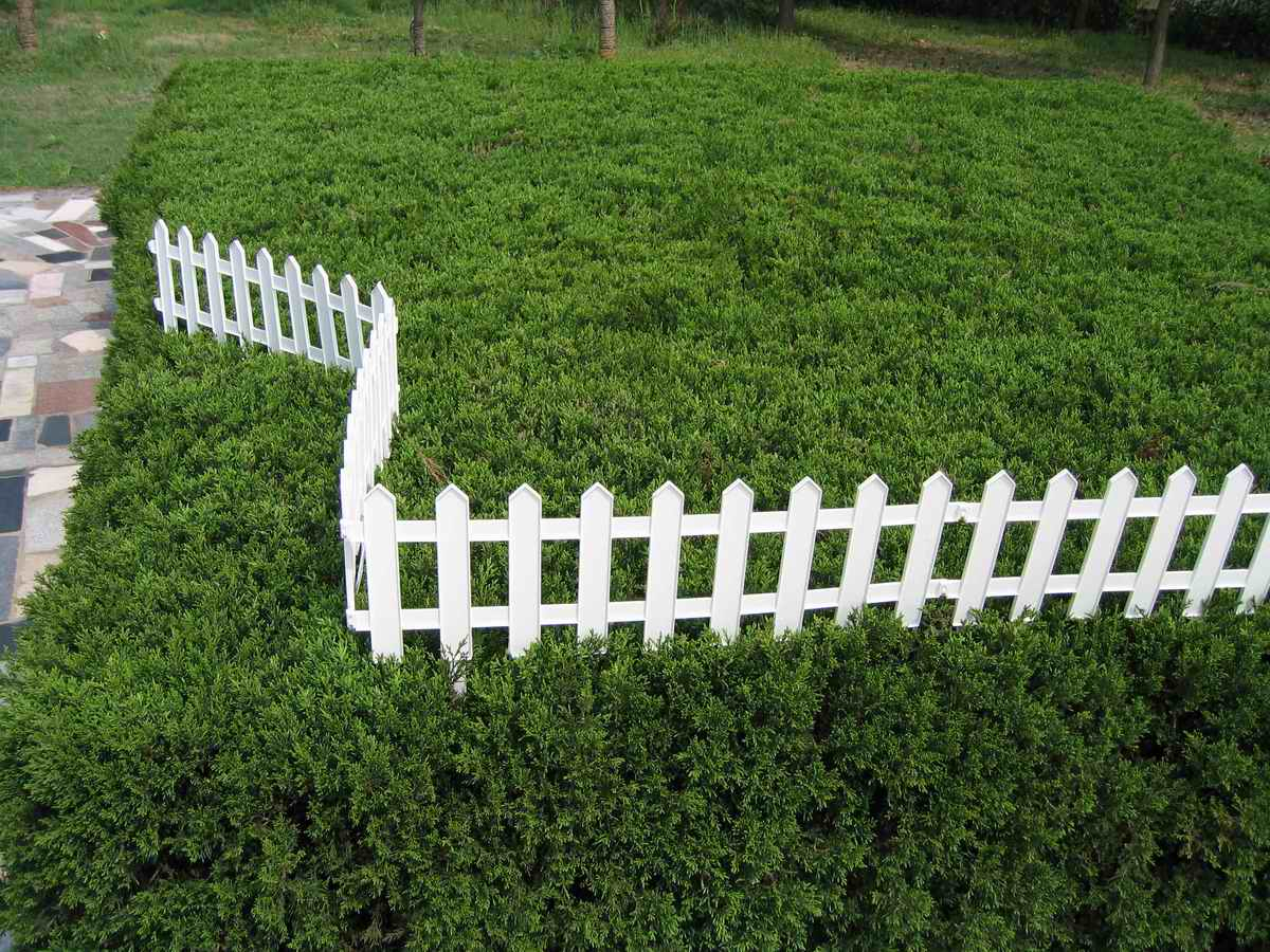 Awesome Short Picket Fence Panels throughout sizing 1200 X 900