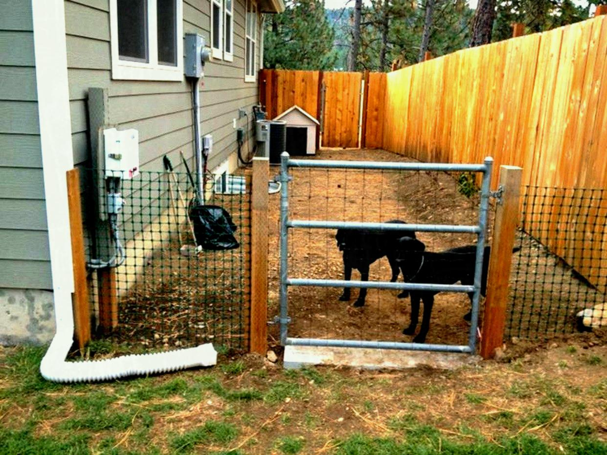 Backyard Fence Ideas For Dogs Dog Us Yard Landscaping Ideas On A inside size 1241 X 931