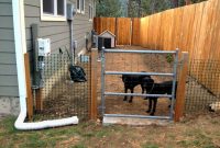 Backyard Ideas For Dogs Fence Zapatalab for size 1241 X 931