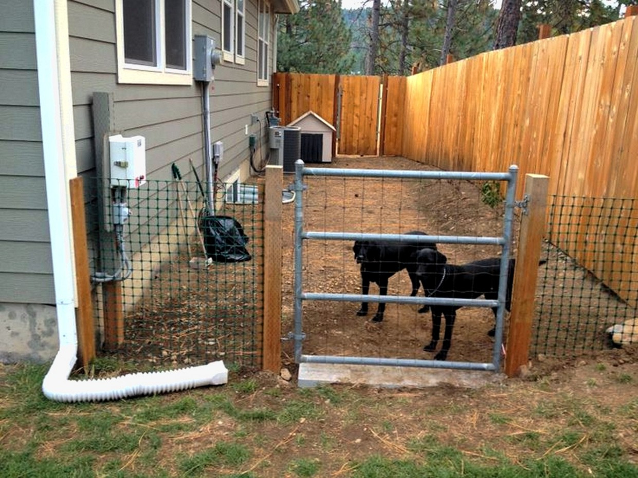 Backyard Ideas For Dogs Fence Zapatalab intended for measurements 1241 X 931