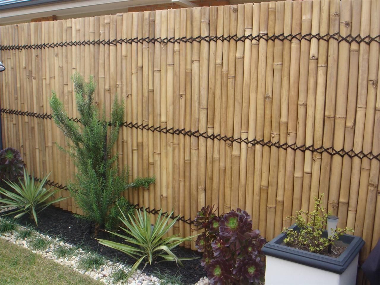 Bamboo Fence Fencing Bamboo Screen 24m X 1m Double Lacquer regarding size 1280 X 960