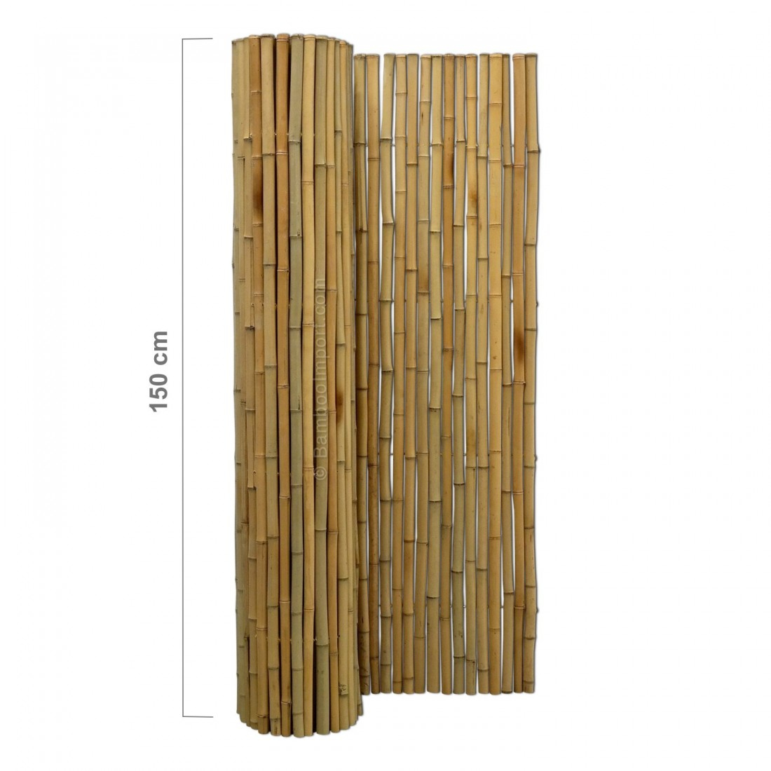 Bamboo Fence Roll 250 X 150 Cm for sizing 1100 X 1100