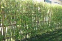 Bamboo Fencing Design Ideas For Your Inspiration Natural Small intended for sizing 3648 X 2736