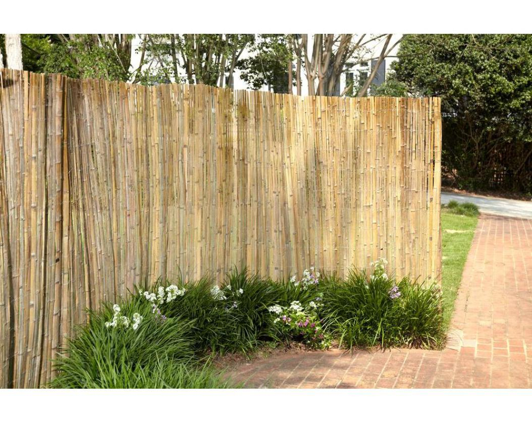 Bamboo Fencing Rolls Homebase Fences Ideas pertaining to measurements 1054 X 836