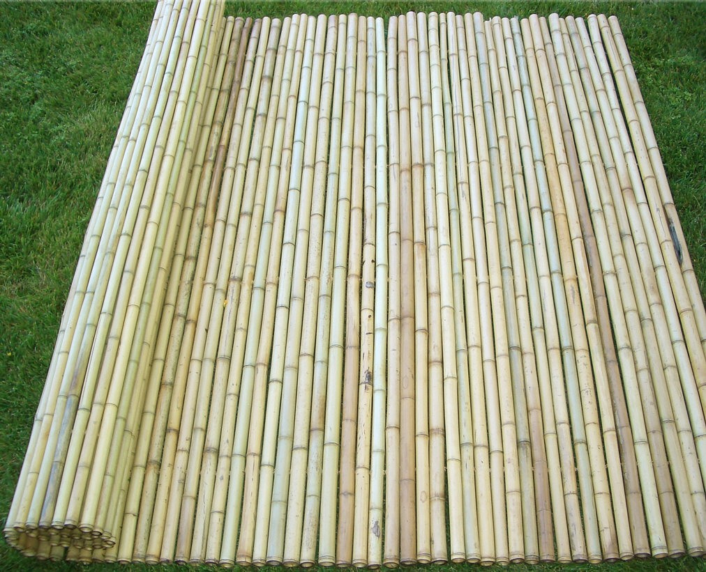 Bamboo Privacy Fencing Rolls Outdoor Decorations within proportions 1012 X 821