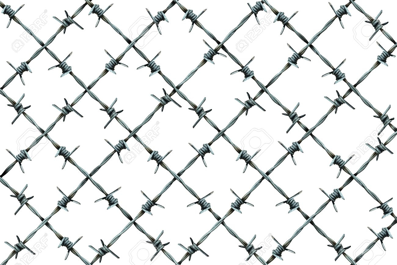 Barbed Wire Fence Pattern Isolated On A White Background As Metal with sizing 1300 X 870