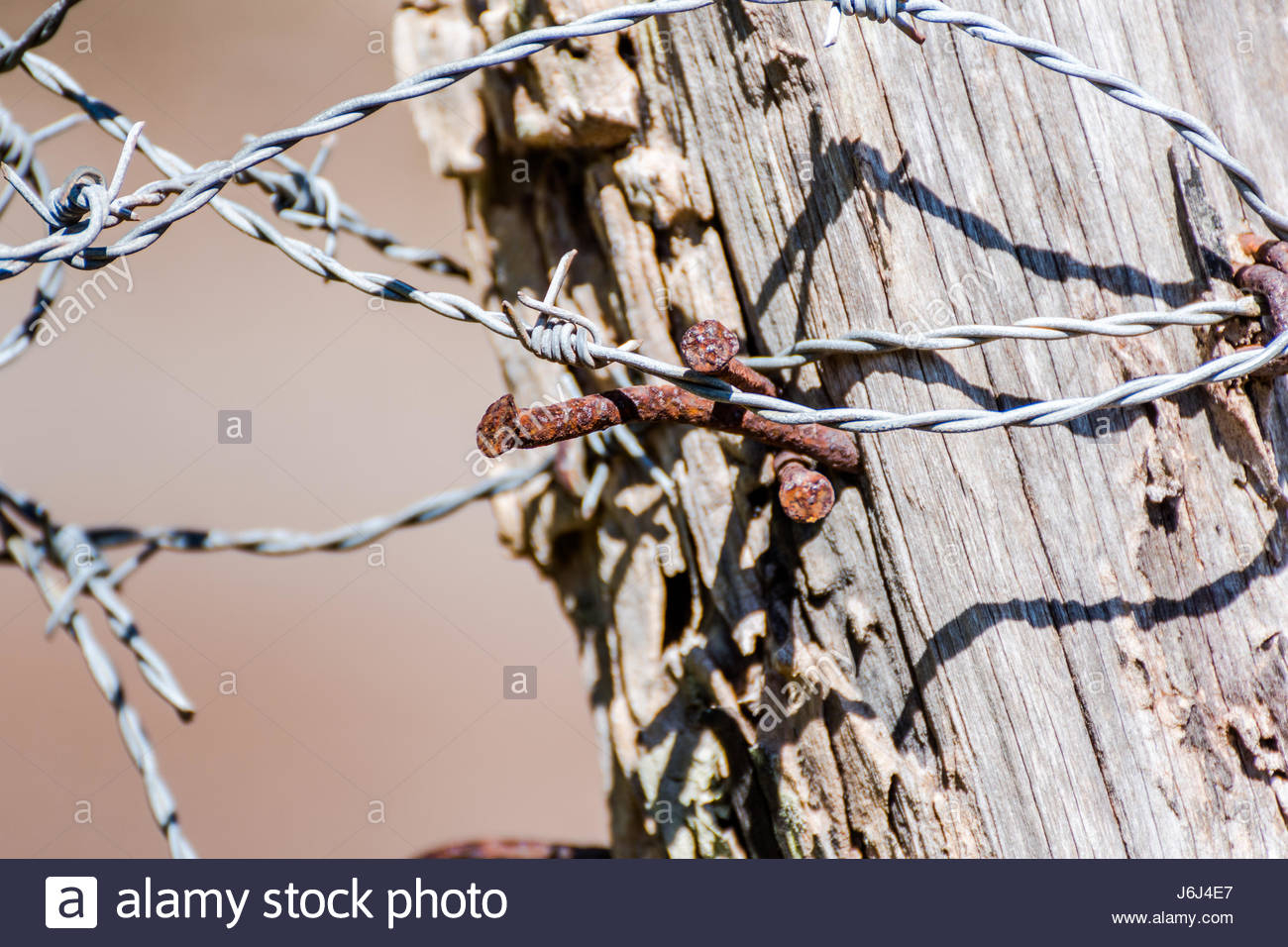 Barbed Wire Fence Post With Rusty Nails Stock Photo 141769551 Alamy throughout measurements 1300 X 956