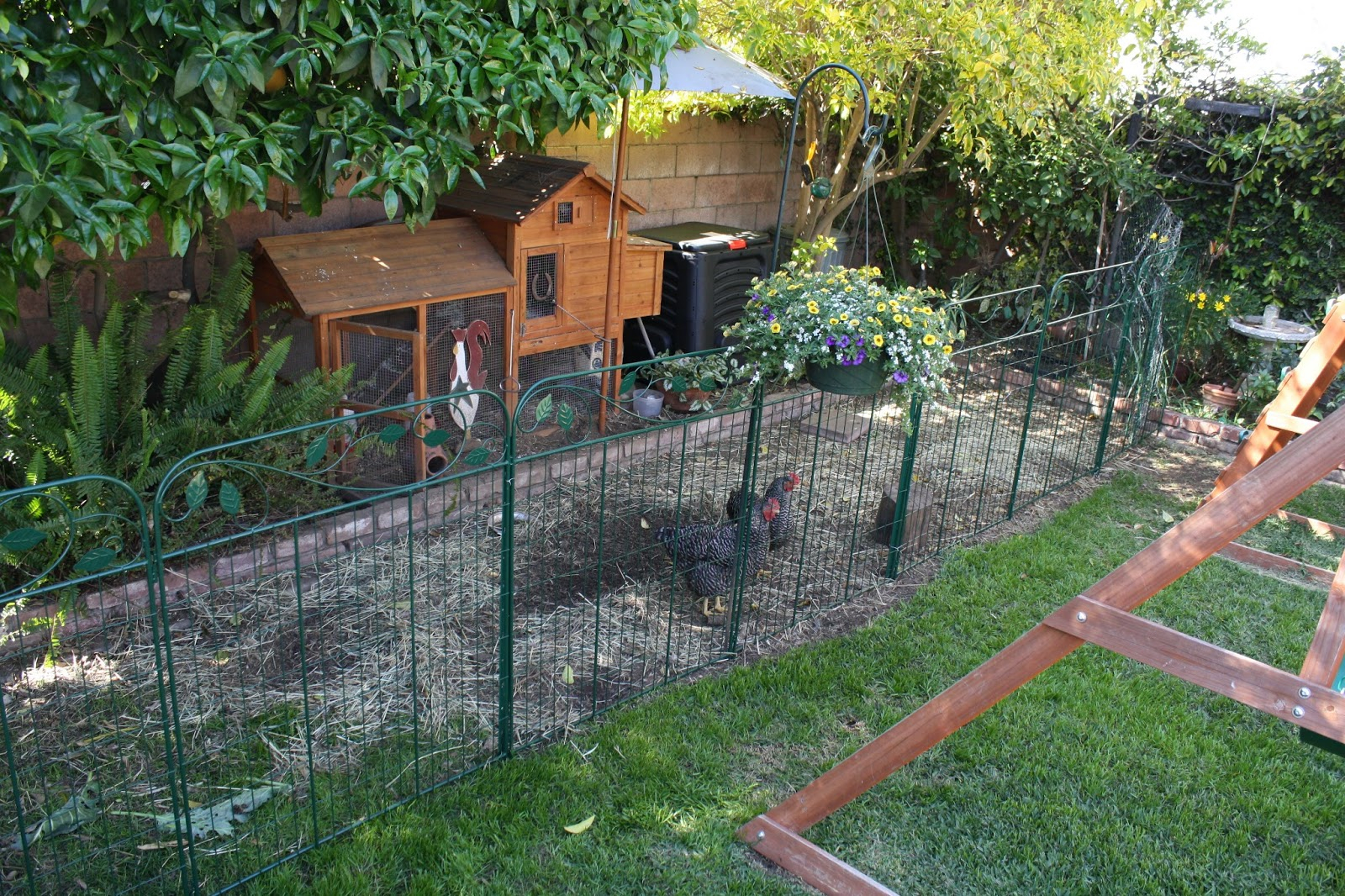 Beautiful Portable Chicken Fence Panels in dimensions 1600 X 1066