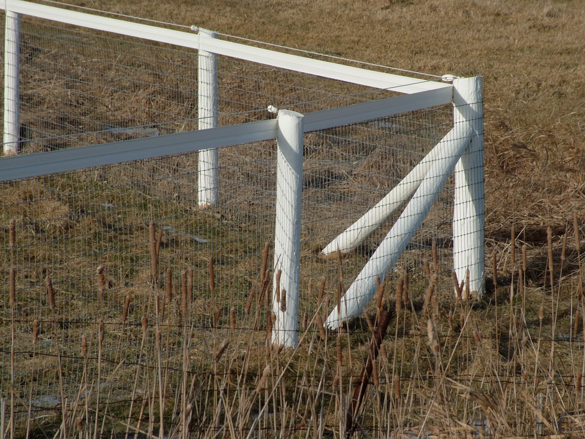 Best Electric Fence Energiser For Horses Fences Ideas within proportions 1200 X 902