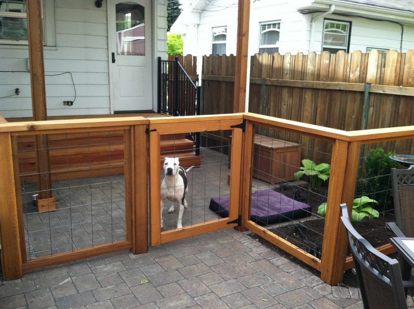 Best Fence For Dogs Great Home Interior And Furniture Design Ideas throughout size 1698 X 1269