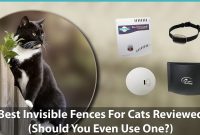Best Invisible Fences For Cats Reviewed Do They Even Work pertaining to measurements 1460 X 820