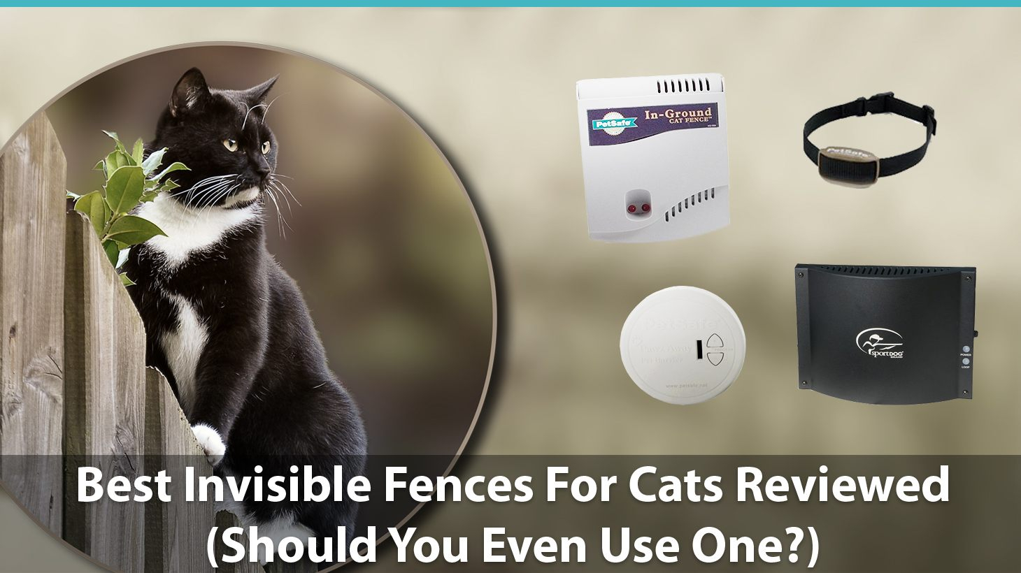 Best Invisible Fences For Cats Reviewed Do They Even Work pertaining to measurements 1460 X 820