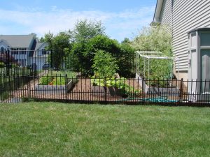 Best Outdoor Dog Fence Ideas Hot Home Decor with dimensions 1024 X 768