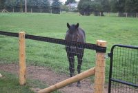 Best Type Of Fence For Horses Fences Ideas with proportions 1200 X 900