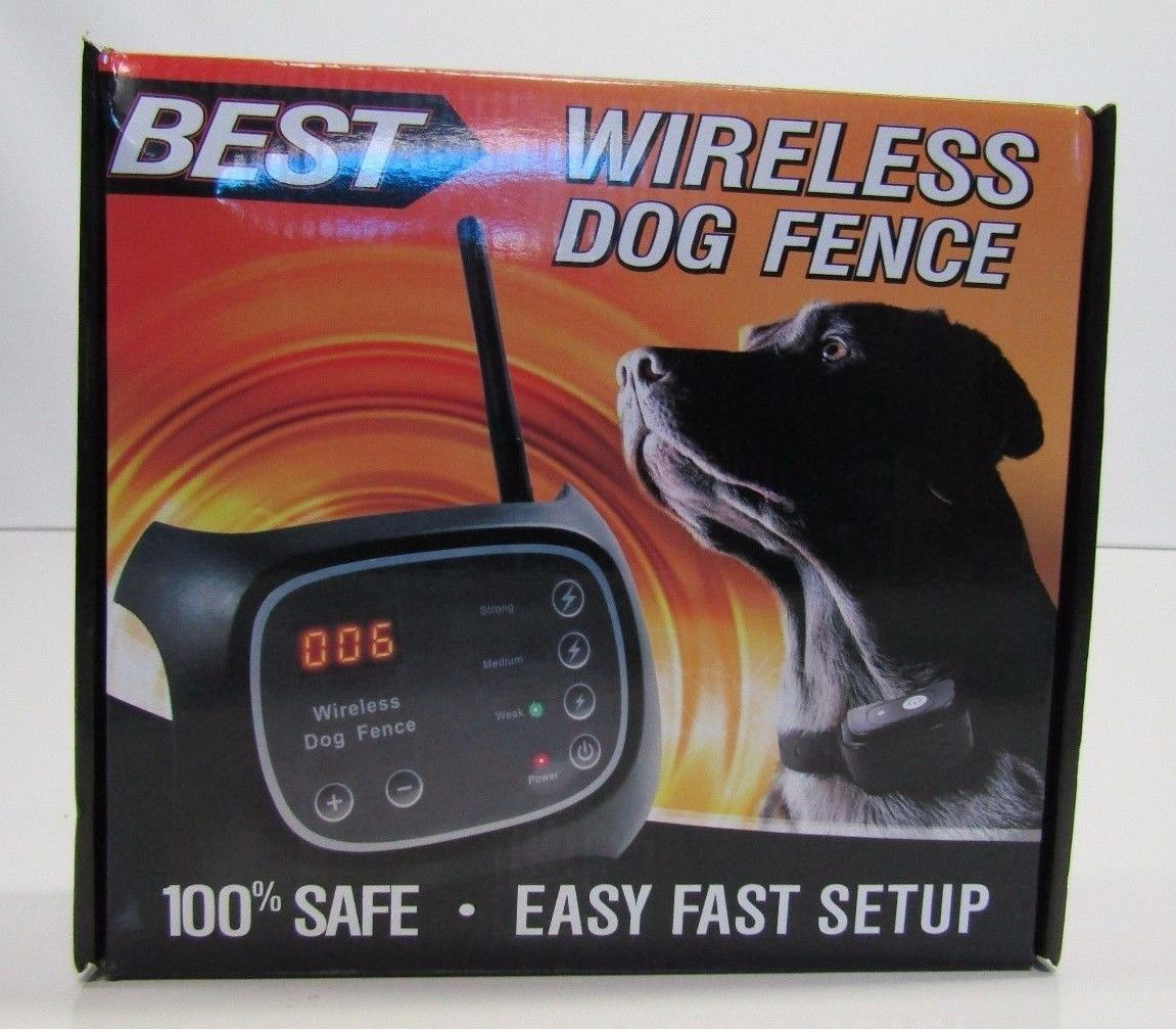 Best Wifi Wireless Dog Fence System Easy Plug N Play Rechargeable throughout sizing 1151 X 1007