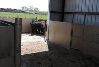 Brute Cattle Equipment Squeeze Chutes And Custom Facilities in size 1100 X 736