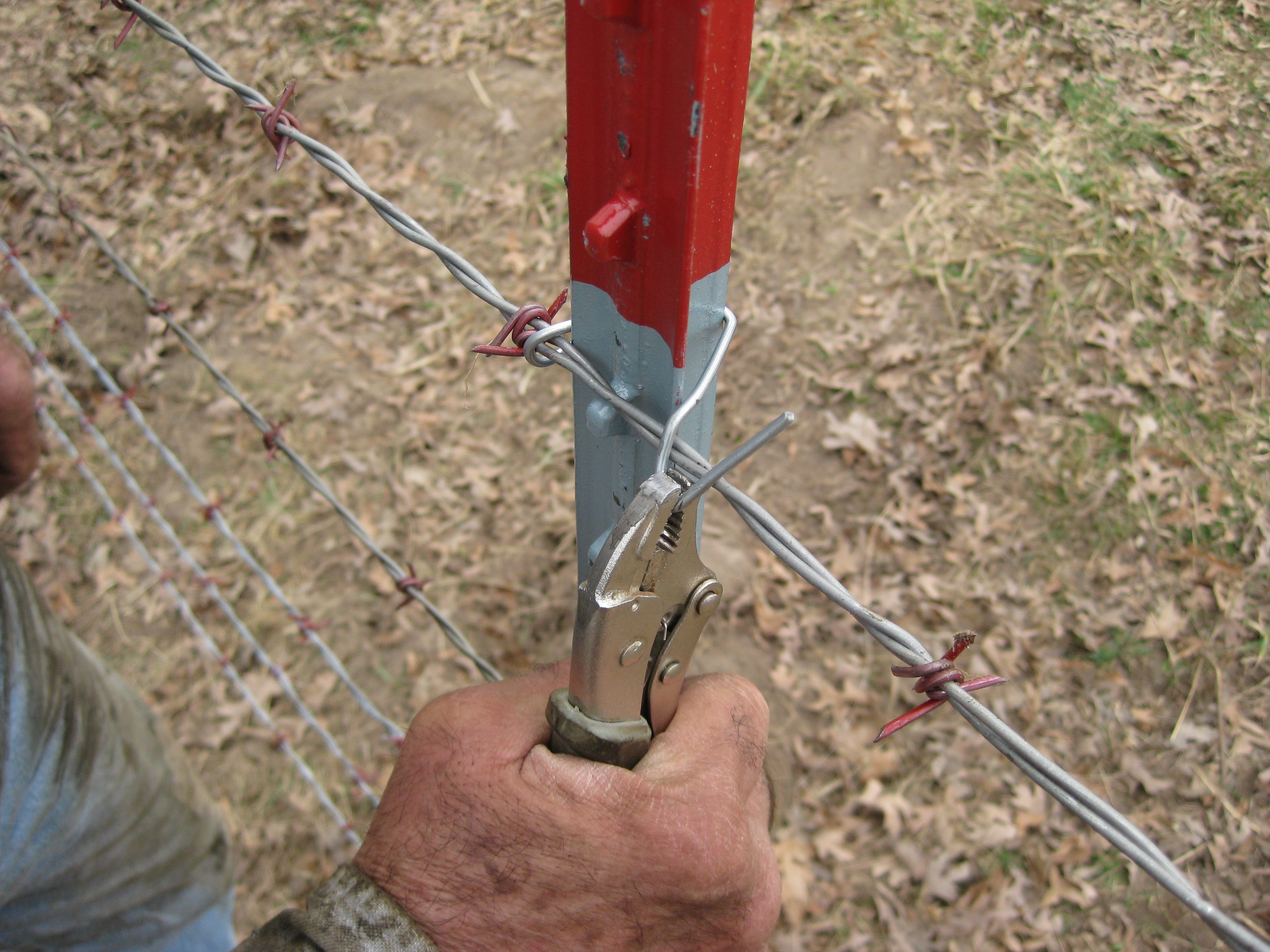 Building A New Fence Iii Curiousfarmer intended for sizing 3264 X 2448