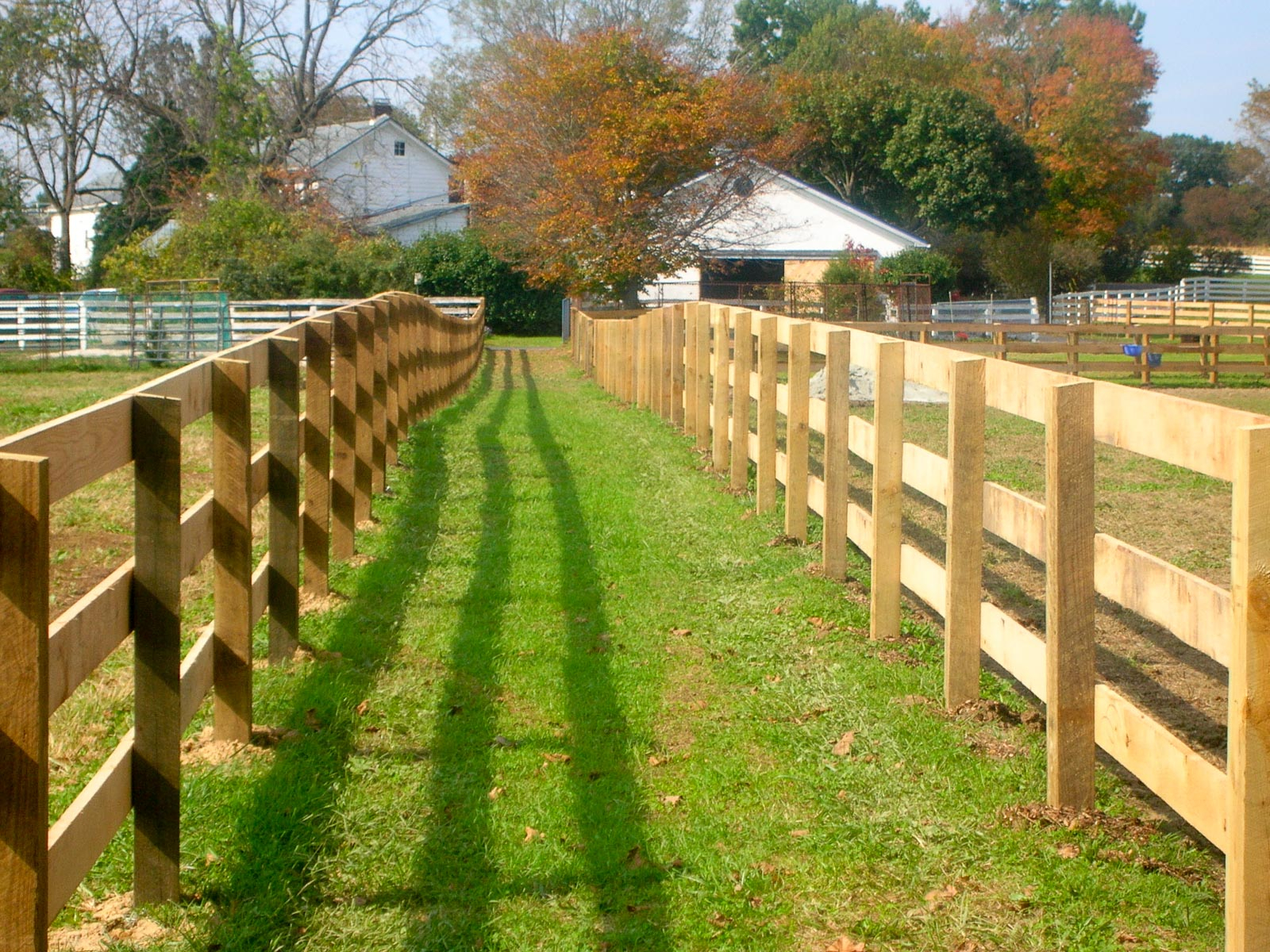 Building A Wooden Horse Fencing Cole Papers Design throughout measurements 1600 X 1200