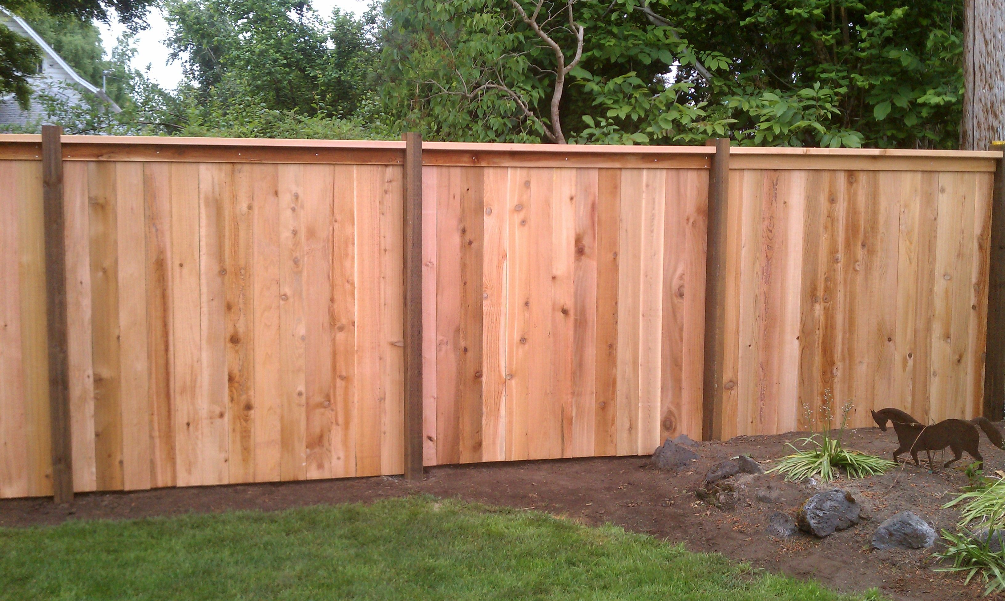 Cap And Bevel Fencing 1 Grade With 46 Pressure Treated Posts And for sizing 3264 X 1952