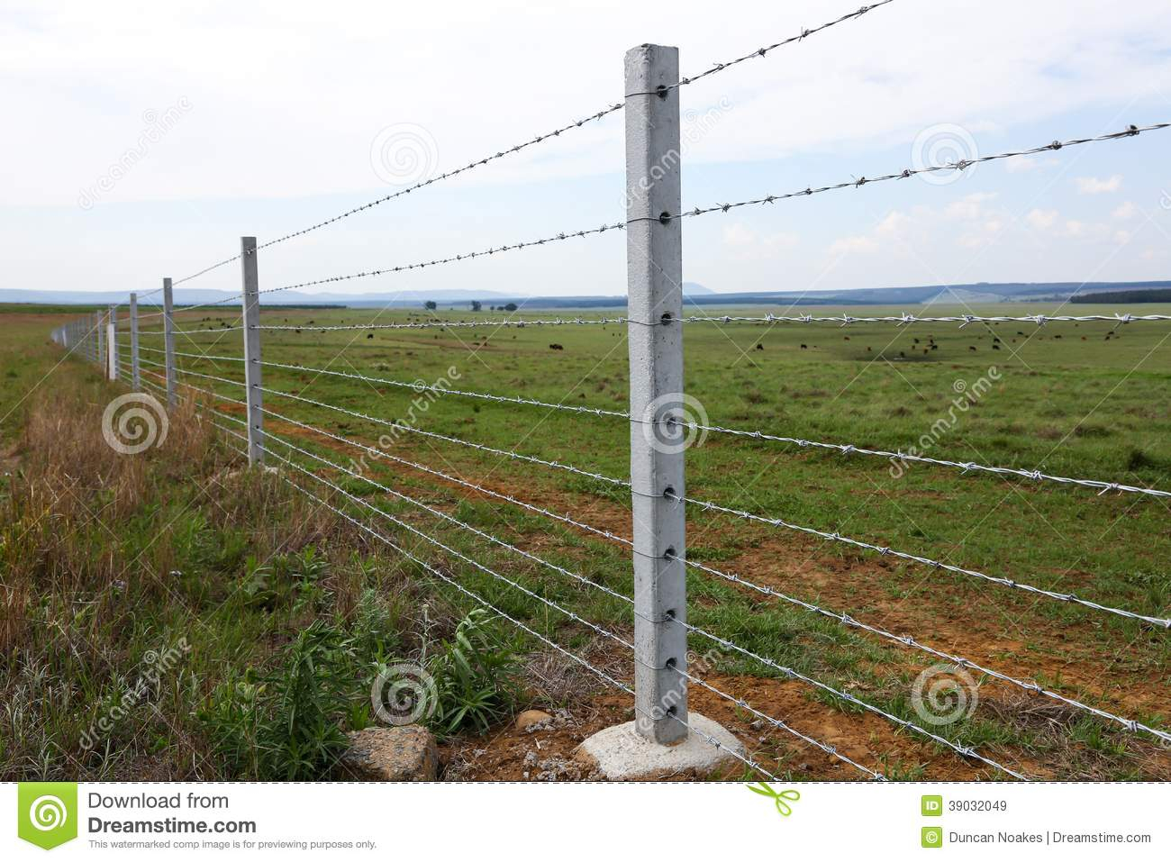 Cattle Fence On Farm Stock Image Image Of Nature Outside 39032049 within proportions 1300 X 957