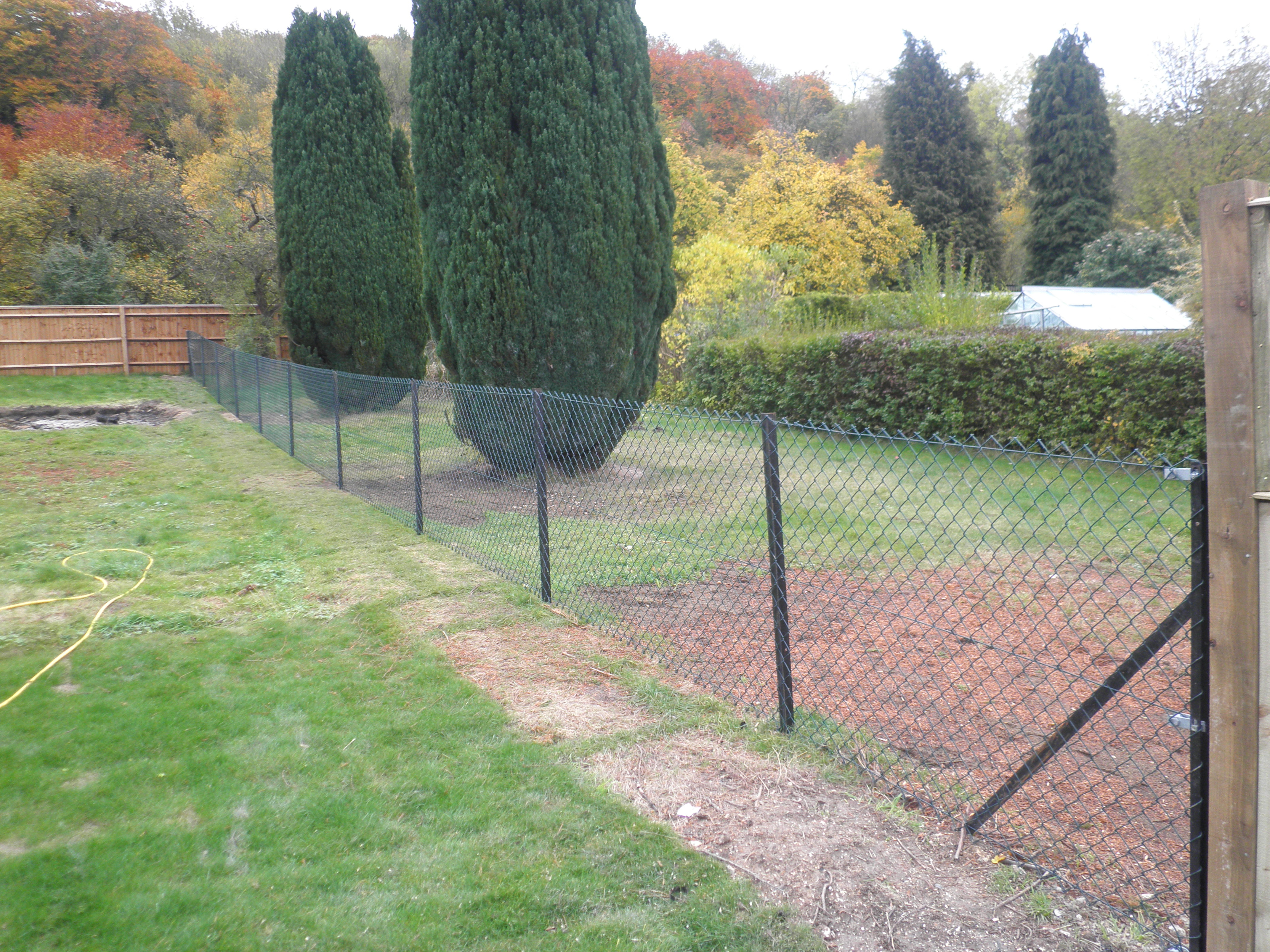 Chain Link Fence Dog Proof Fencing Claytons Fencing pertaining to measurements 4288 X 3216