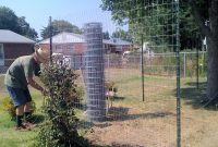 Chicken Coop Fencing Ideas Fences Ideas pertaining to size 1600 X 1200