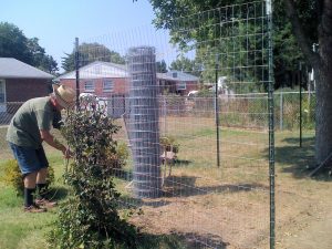 Chicken Run Fence Ideas Fences Design pertaining to proportions 1600 X 1200