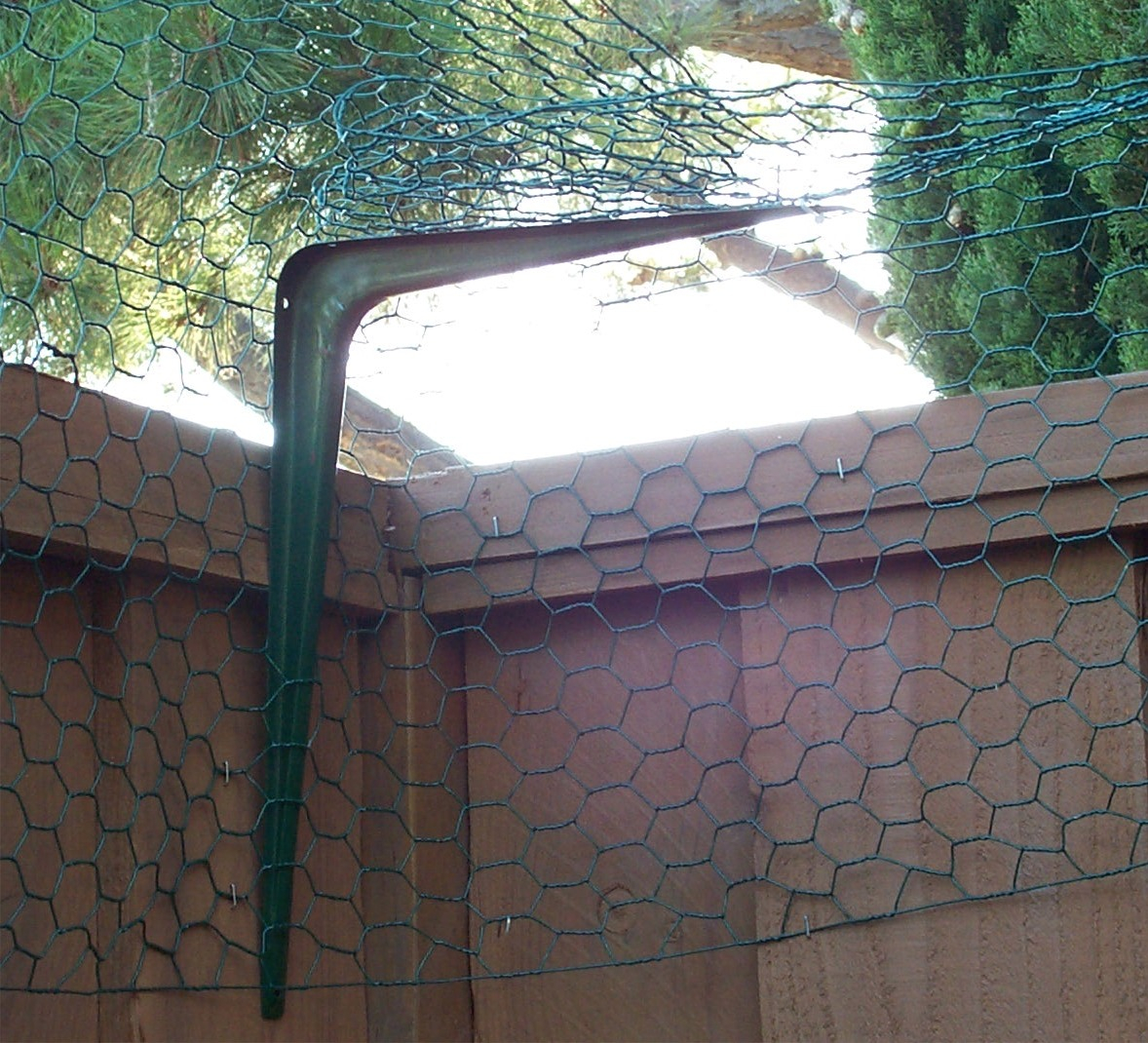Chicken Wire Fencing Example with sizing 1178 X 1070