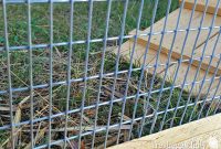 Choosing The Right Fencing For Your Chicken Coop Run Or Garden within sizing 1600 X 1205